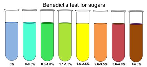 prueba de benedict.